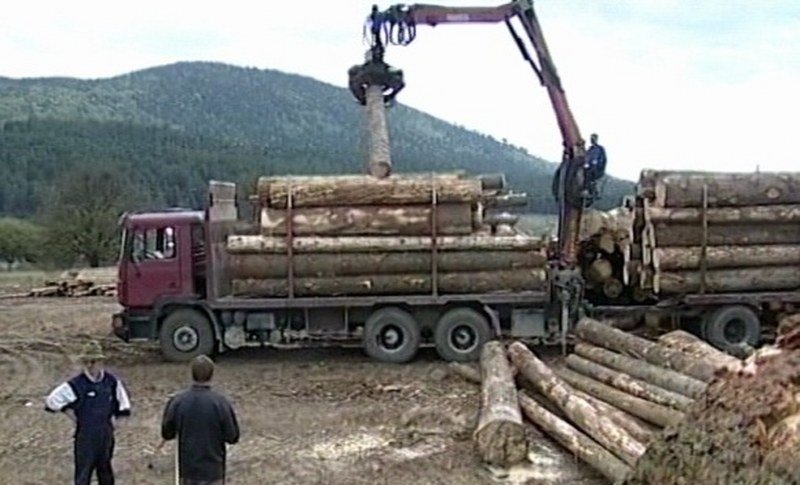 Drvoprerađivači iz Republike Srpske masovno finansiraju Socijalističku partiju
