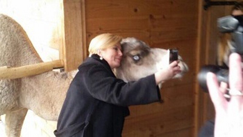 Kolindin selfi sa kamilom - hit na internetu