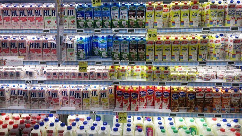 Koje mlijeko je najbolje?