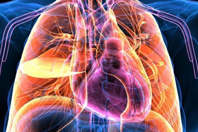 Čudo u medicini - Pronađen novi organ u ljudskom tijelu