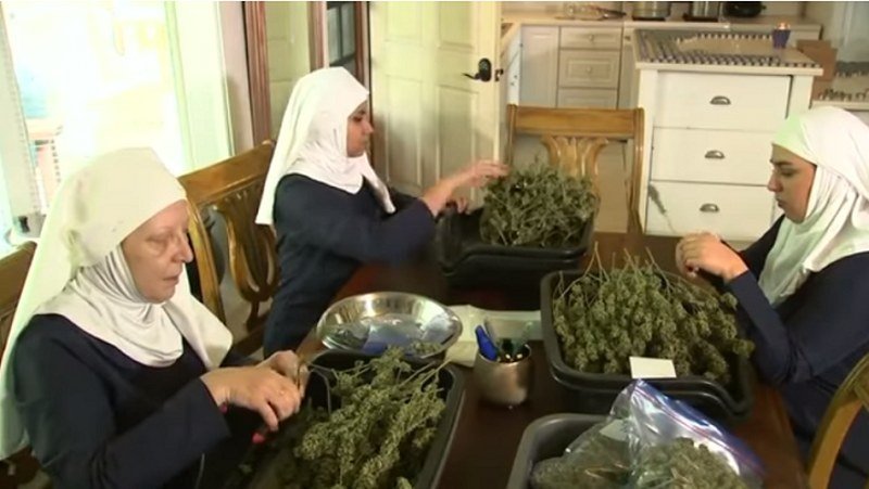 U Kaliforniji - Tri časne sestre zaradile skoro milion eura od uzgajanja marihuane