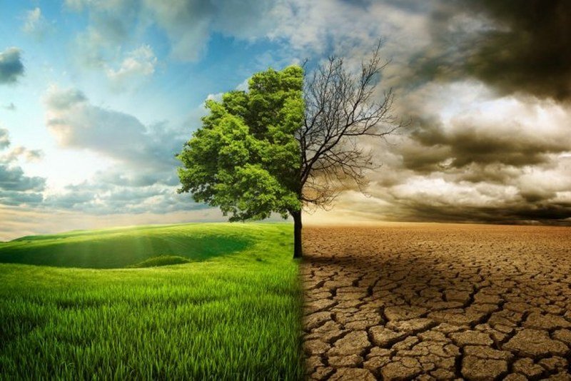 Do 2050. godine dramatične promene klime
