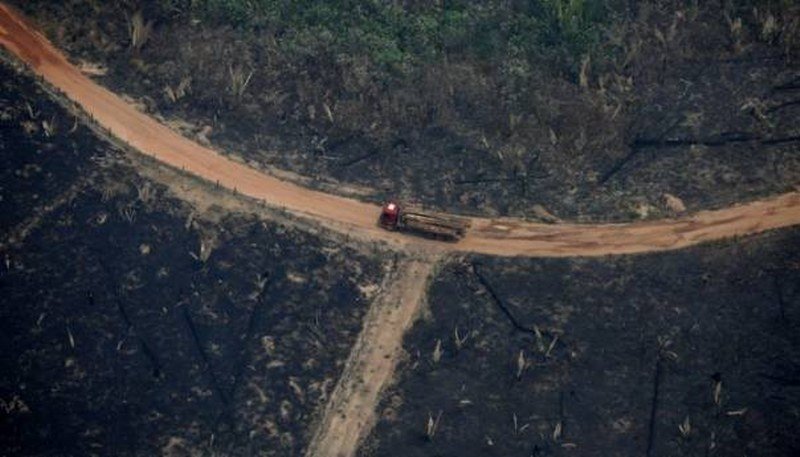 Iza požara u Amazonu krije se međunarodna glad za govedinom i sojom