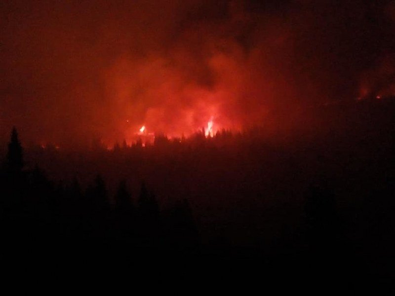 Bukti požar na Staroj planini: Vatra sa bugarske strane prešla u Srbiju (Video)