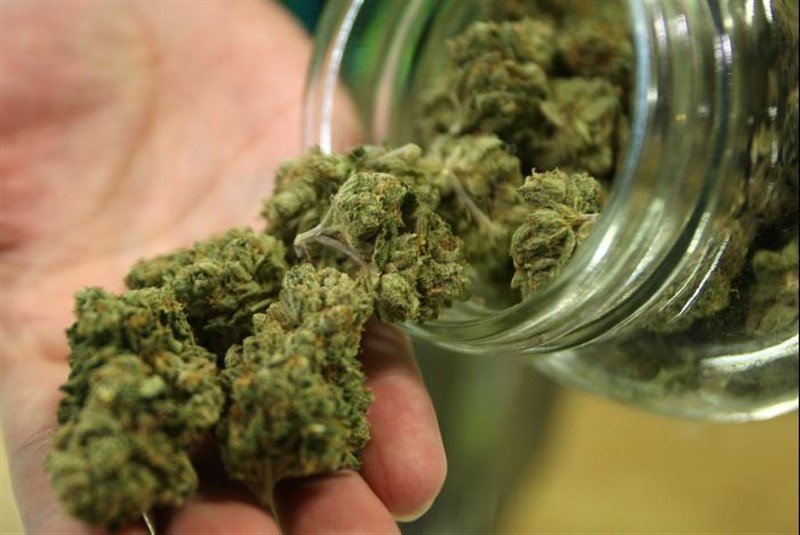  Policija u Subotici zaplenila 19 kilograma marihuane