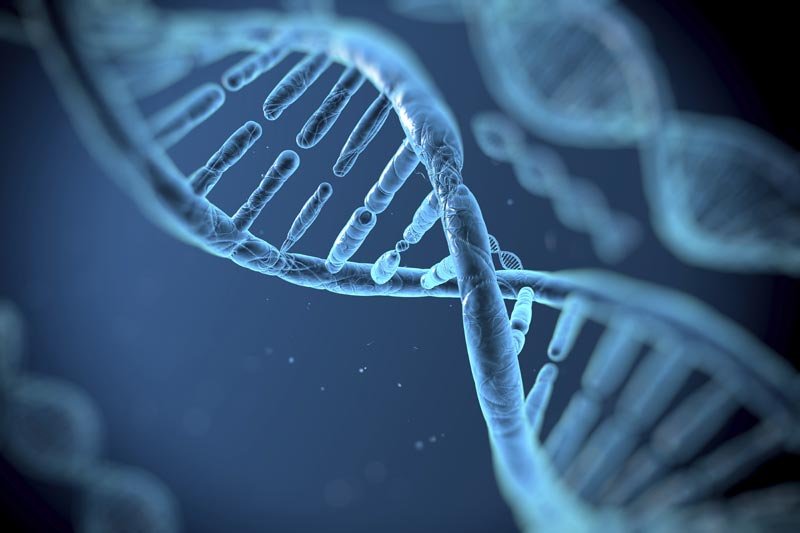 Naučnici otkrili “Sveti gral” genetike