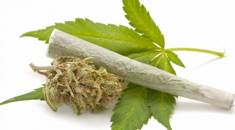 Tri pravca za šverc marihuane ka zapadu kreću iz Srbije