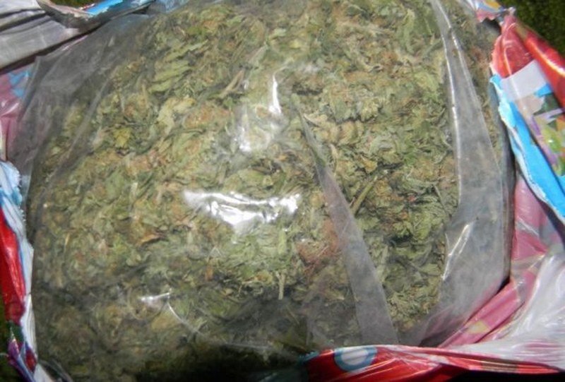 Akcija policije: Otišli u planine i zaplenili skoro 40 kilograma droge