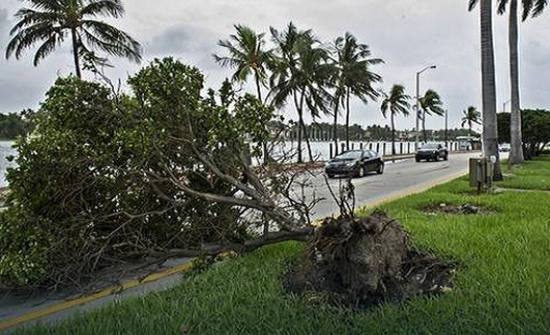 Porođaj usred uragana, u Majamiju se rodila devojčica