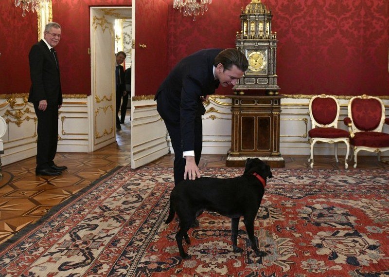 Kurcov ljubimac neobičnog imena!