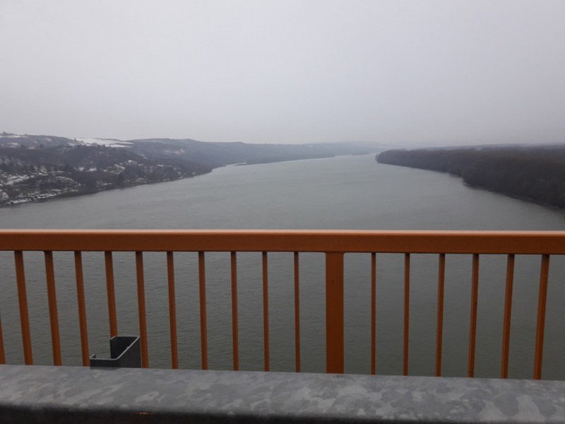 Bugarka htela da ubije majku i sebe, pa na kraju sama skočila u Dunav (Foto)