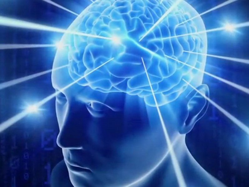 Bez zamjene za mozak, glavu, oči, testise