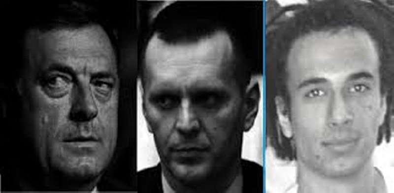 Teško Ubistvo Davida Dragičevića - Izjava inspektora Milana Tomazovića -Javno svjedočenje No9-