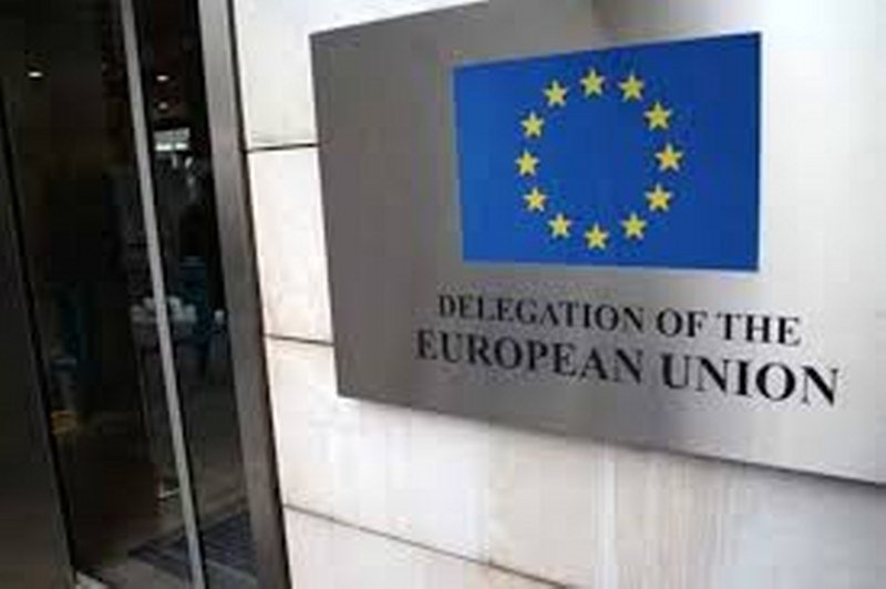 Delegacija EU o Tegeltiji i -potkivanju- Disciplinske tužbe moraju biti profesionalno ispitane