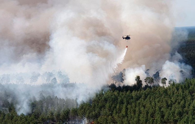 Evropa gori - Prve žrtve vrućina u Italiji - U Španiji i Francuskoj požari