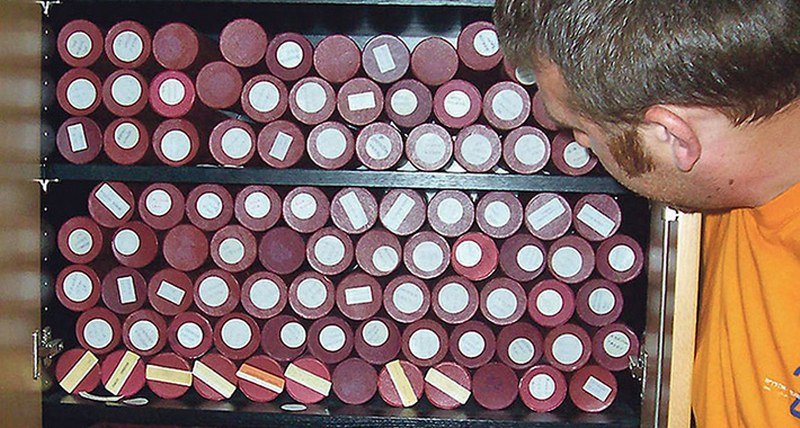 U federalnim institucijama i javnim preduzećima otkrivene 74 lažne diplome