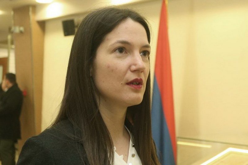 -NE- saradnji sa strankom Milorada Dodika, koja je privatno preduzeće