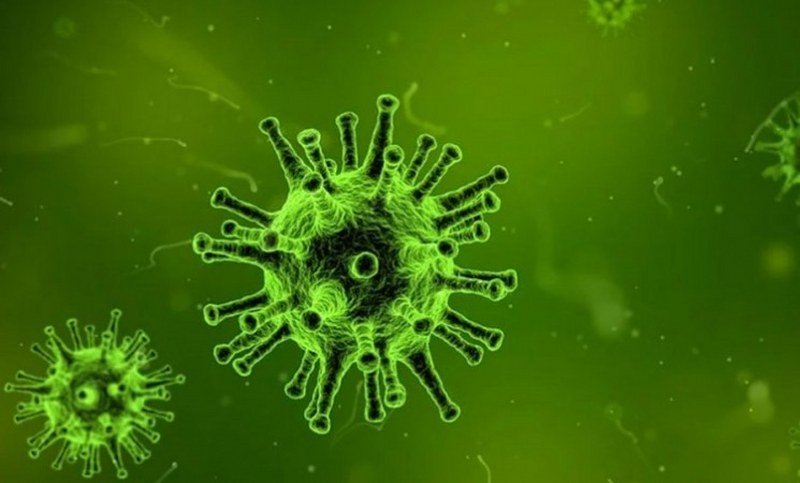 Novi virus korona mutira, ima osam vrsta