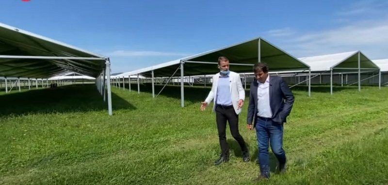 -Pokretna bolnica- i dalje samo obični šator u travi pored koga ovce pasu (Video)