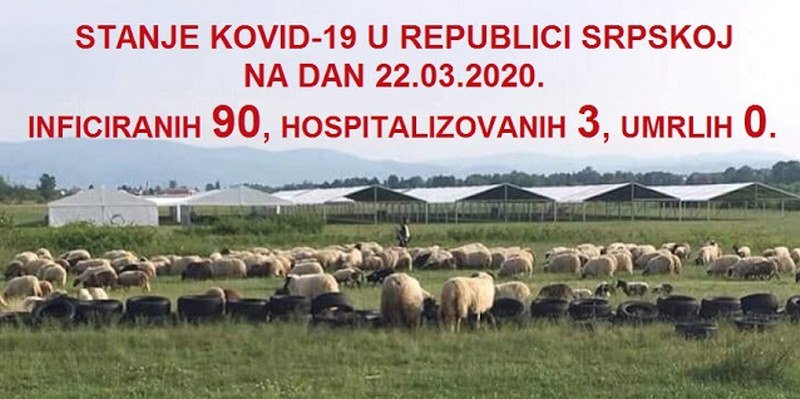 Borislav Radovanović - Istraga predmeta -Pokretna bolnica- završena :Objavljujem dokaze kriminala direktora Zeljkovića i lažnog humanitarca Ristića