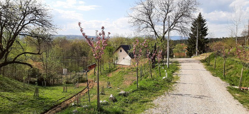 Potkovani kao uzor: Vikend kućica sa bazenčićem uhapšenog sudije-kriminalca Nebojše Pejovića