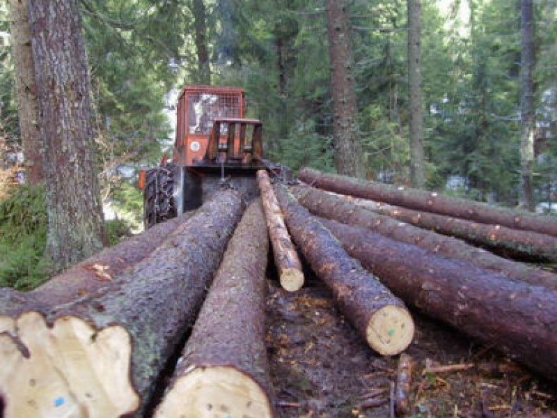 Kome smeta uspješni direktor ŠG Birač - Vlasenica (Video)