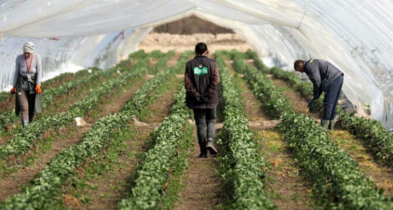 Nenarodna vlast: Vlada Republike Srpske malim poljoprivrednicima uvodi porez do 400 maraka