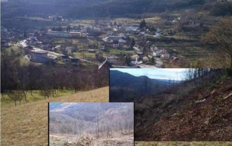 Tužioci, zašto? Preko godinu dana bez tužilačke odluke u vezi prijave za pustošenje šume u Ribniku (Dok.)
