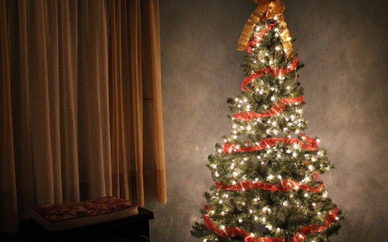 Policija pronašla kanabis jelku