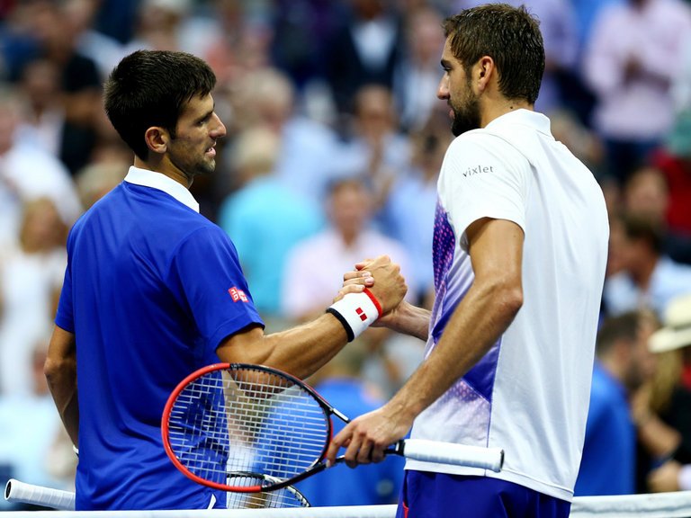 Čilić zaustavio Đokovića u Parizu