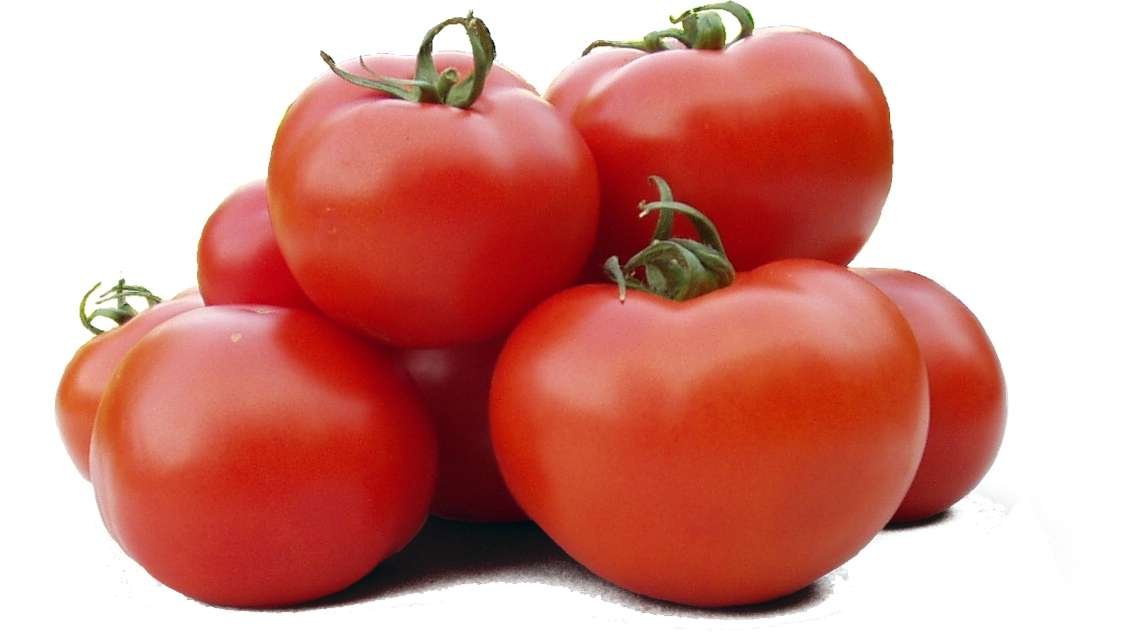 Paradajz gubi ukus ako ga čuvate u frižideru 