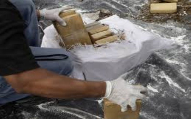 Zaplenjeno 717 kg kokaina u Hamburgu