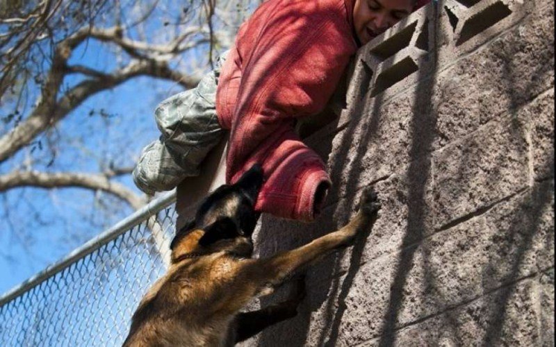 Pas napao dječaka: Izujedao ga više od 30 puta, prolaznici ga jedva spasli