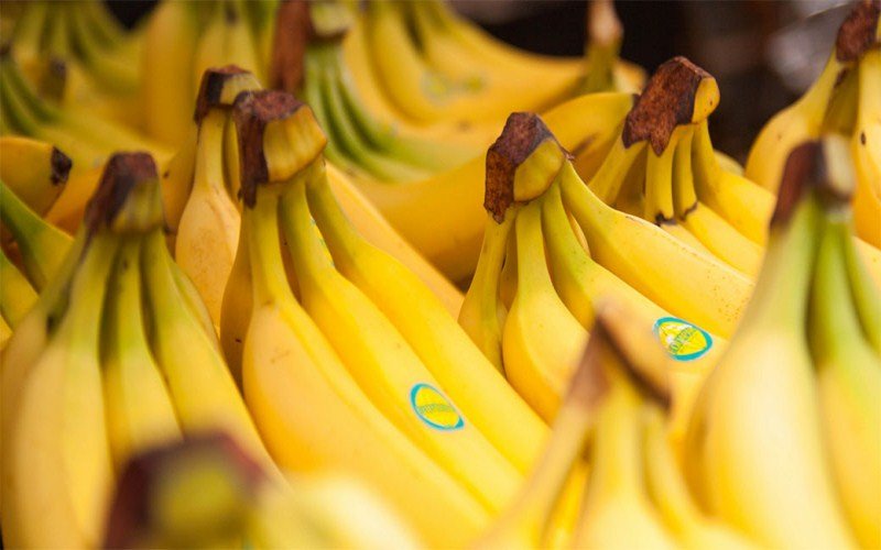 Svijet zabrinut: Približava se kraj bananama?!