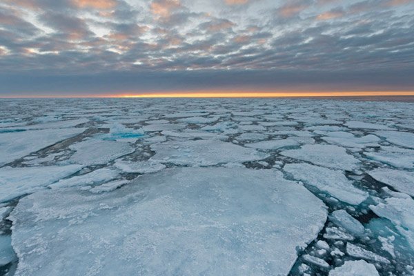 Led na Arktiku na najnižem nivou u posljednjih 38 godina