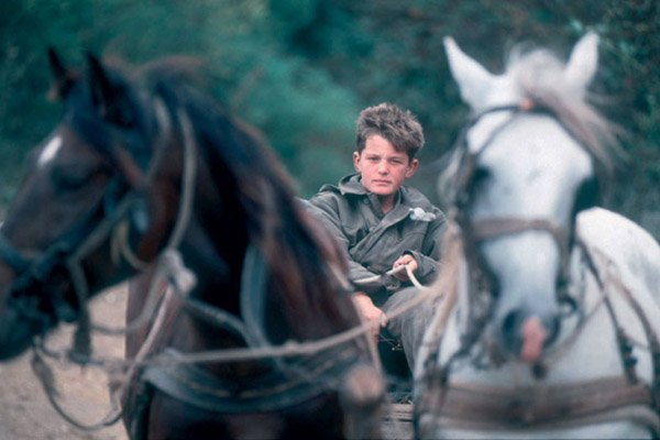 Višegrad prvi u Srpskoj dobio ulicu Spomenka Gostića