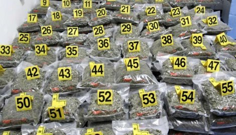 Zaplijenili preko 30 kilograma marihuane 