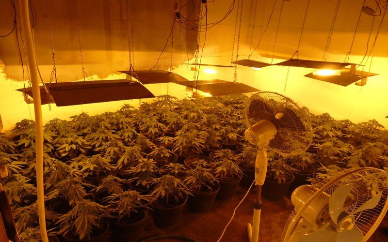 Laboratoriju za uzgoj marihuana nelegalno napajao iz električne mreže