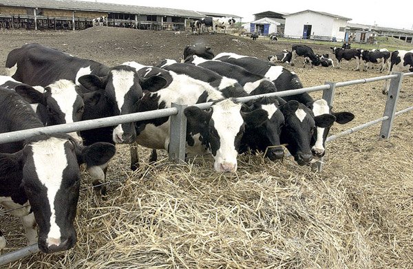 Raspisan poziv investitorima za privatizaciju PKB 