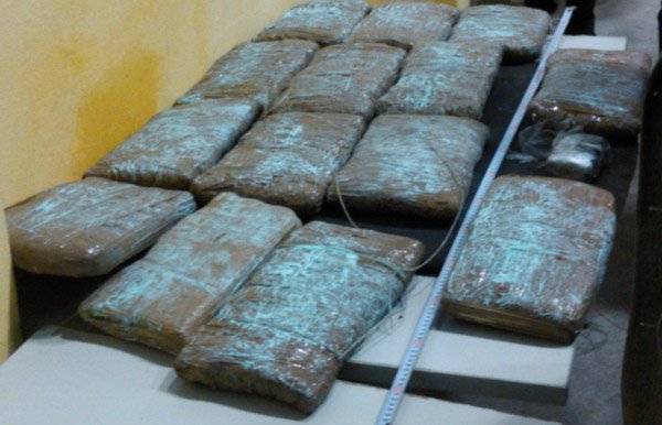 Albanija: Zaplenjene tri tone droge, uhapšeno 15 osoba
