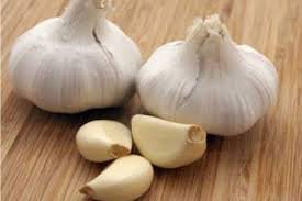 Antibiotik iz prirode: Napravite lek od 2 sastojka