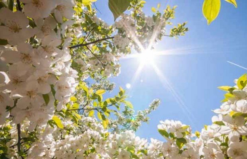 U BiH pretežno sunčano i toplije, temperatura do 29 stepeni