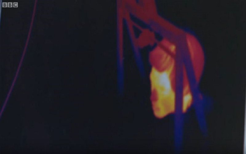 Kako se ljudski organizam ponaša na temperaturi od -20 (video)