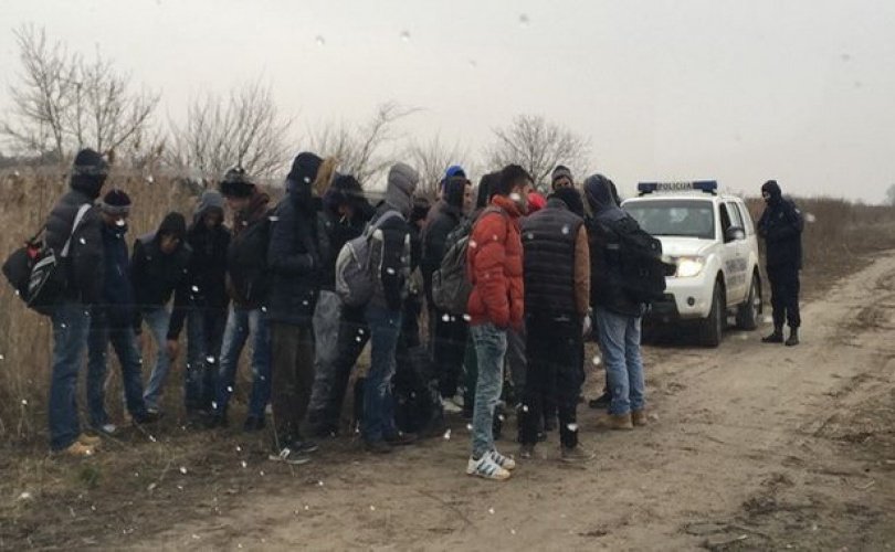 Uhapšena grupa koja je prošvercovala 250 migranata kroz Srbiju