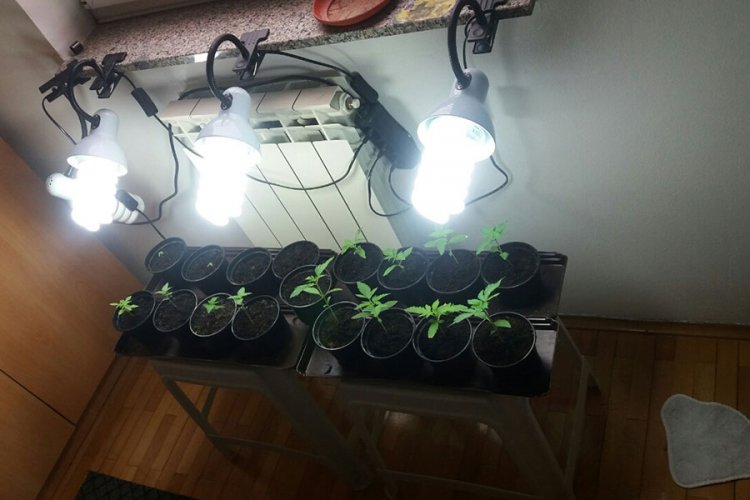 Policijska akcija u Gradišci, pronašli drogu i oružje