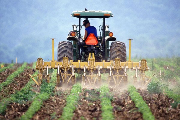 Britanski farmeri traže sezonce iz BiH