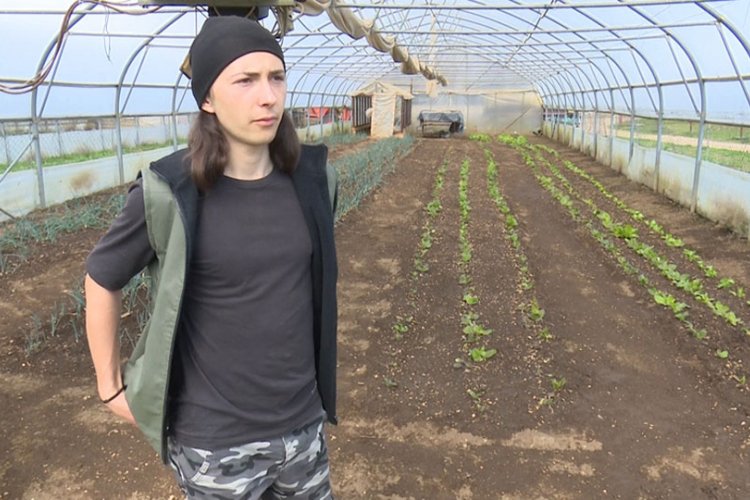 Učenik postao veliki proizvođač povrća