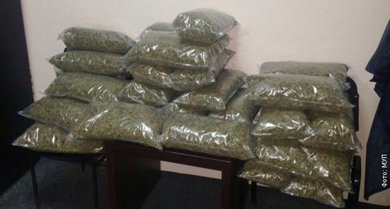 Zaplena 27 kilograma marihuane u Kruševcu