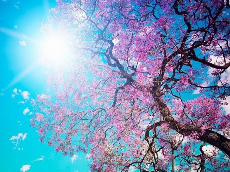 Vreme u BiH: Uživajte u sunčanoj nedelji!