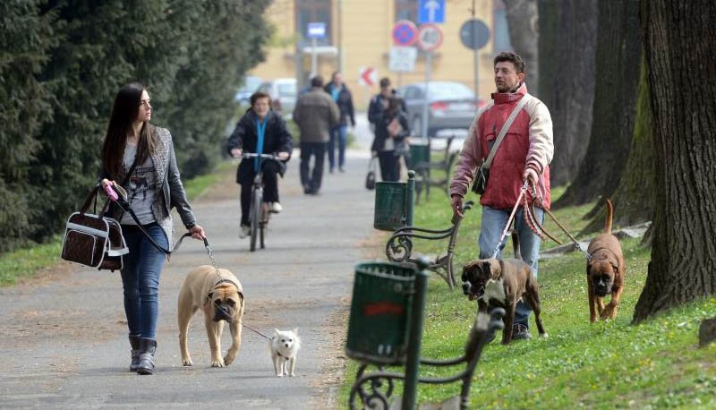 Podgorica: Otvoren „parking“ za pse!